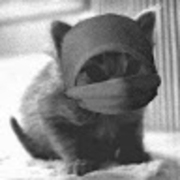 Meet your Posher, Victoria - Picture 1 of 1